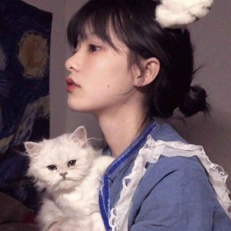 上海（雪代缘所在的黑帮基地） - 魔鬼恋人第三季免费全集播放23 - 电脑观看